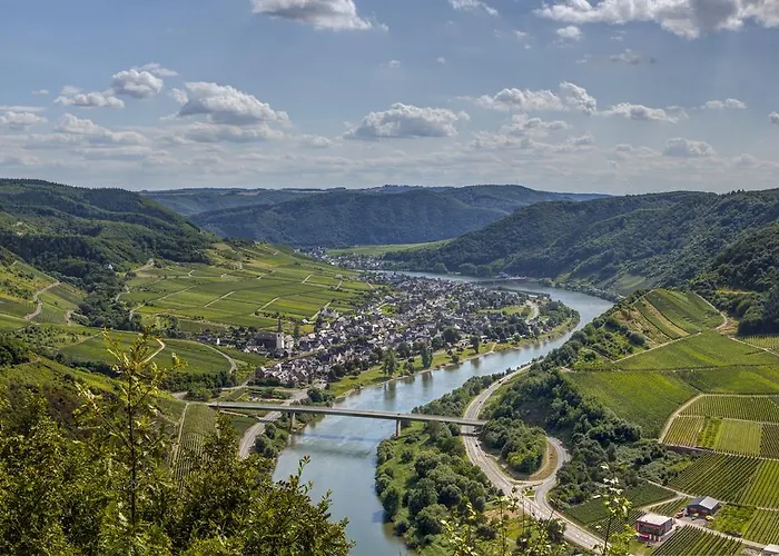 게스트하우스 Weinhaus Hirschen 브루티크판켈